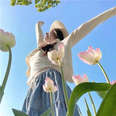 变形金刚：赛博坦之战第一季